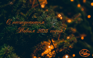 С Наступающим 2025 годом!